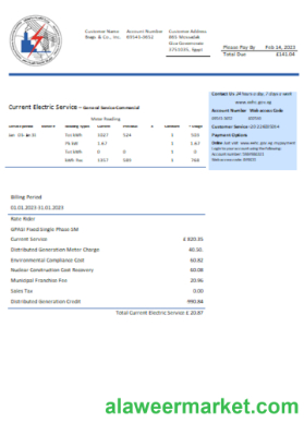 Egyptian Electricity utility business bill,  SCR